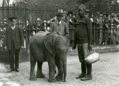 Young African Elephant Kiberenge with Trainer Darisha and Another Man, London Zoo, September 1923 by Frederick William Bond